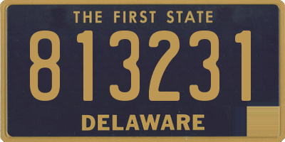 DE license plate 813231