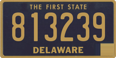 DE license plate 813239
