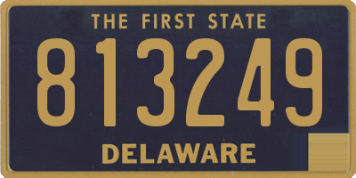 DE license plate 813249