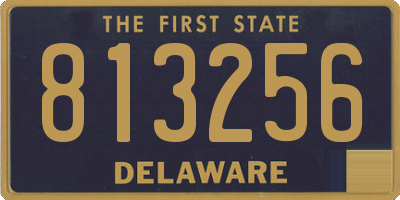DE license plate 813256