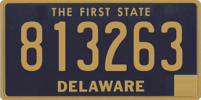 DE license plate 813263
