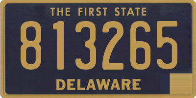 DE license plate 813265