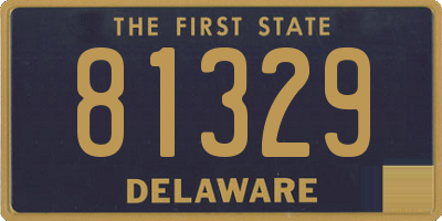 DE license plate 81329