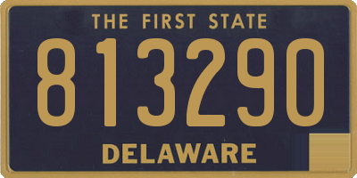 DE license plate 813290