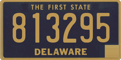 DE license plate 813295