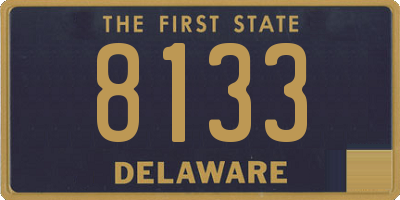 DE license plate 8133