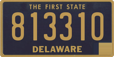 DE license plate 813310