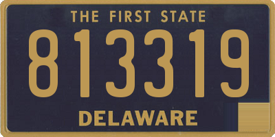 DE license plate 813319
