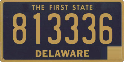 DE license plate 813336