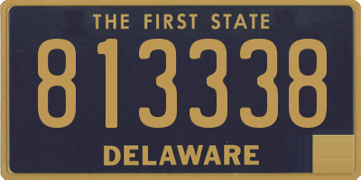 DE license plate 813338