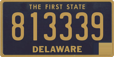 DE license plate 813339