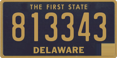 DE license plate 813343