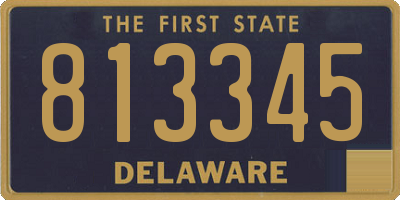 DE license plate 813345