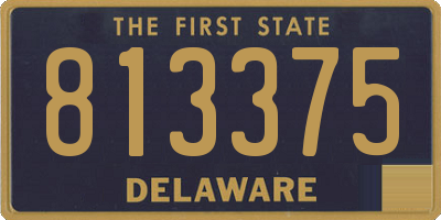 DE license plate 813375
