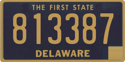 DE license plate 813387