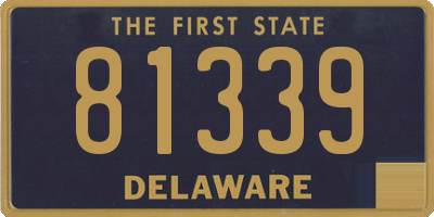 DE license plate 81339