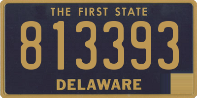DE license plate 813393