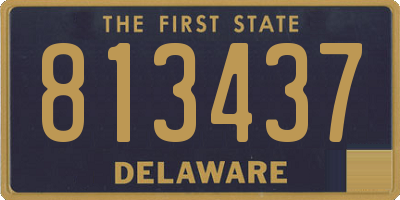 DE license plate 813437