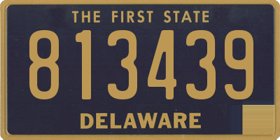 DE license plate 813439