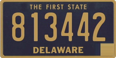 DE license plate 813442
