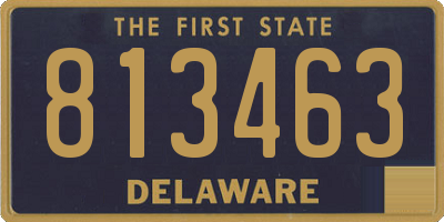 DE license plate 813463
