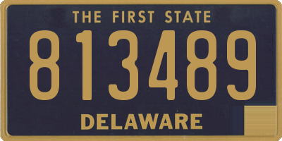 DE license plate 813489