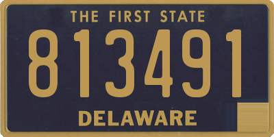 DE license plate 813491