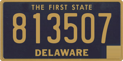 DE license plate 813507