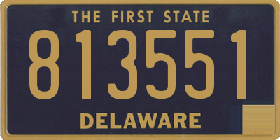 DE license plate 813551