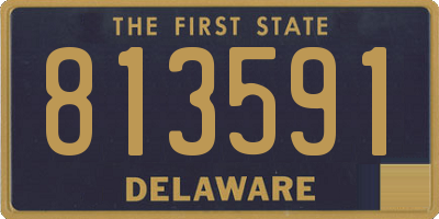 DE license plate 813591