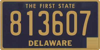 DE license plate 813607