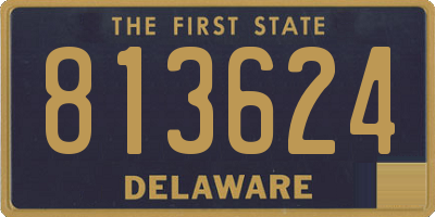 DE license plate 813624