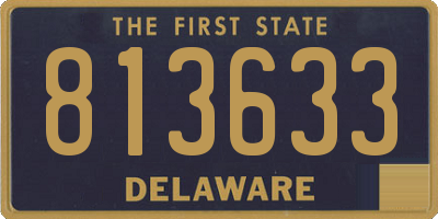 DE license plate 813633