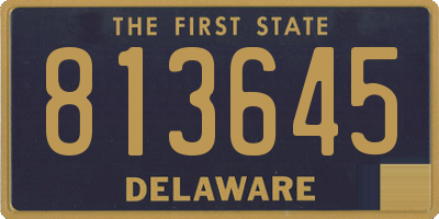 DE license plate 813645