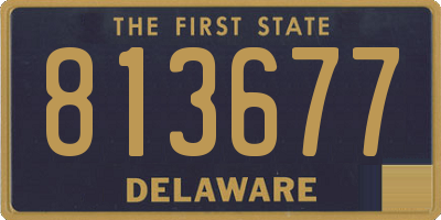 DE license plate 813677