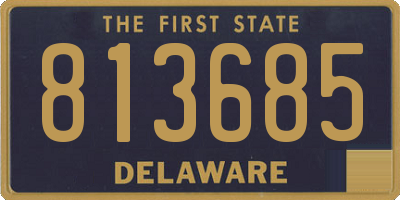 DE license plate 813685