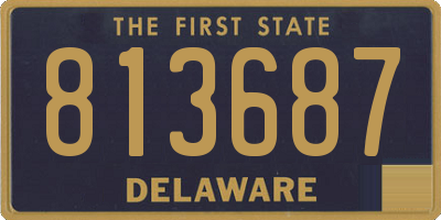 DE license plate 813687