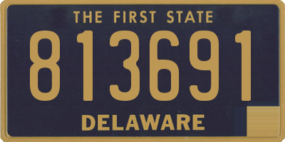 DE license plate 813691