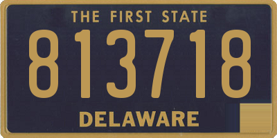 DE license plate 813718