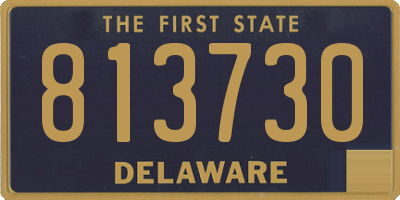 DE license plate 813730