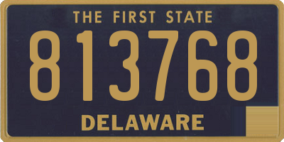 DE license plate 813768