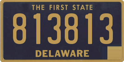 DE license plate 813813