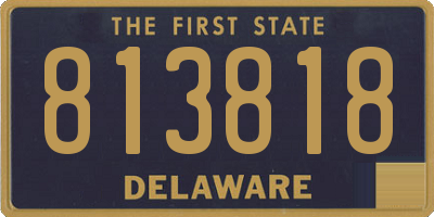DE license plate 813818