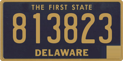 DE license plate 813823