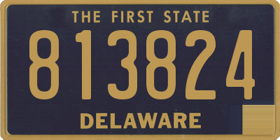 DE license plate 813824