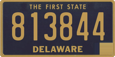 DE license plate 813844
