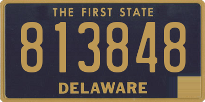 DE license plate 813848