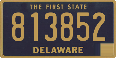 DE license plate 813852