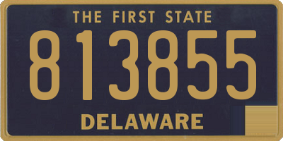 DE license plate 813855