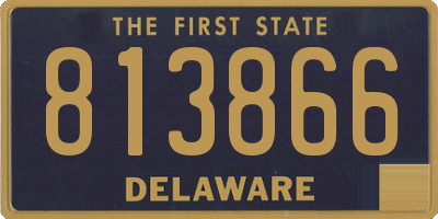 DE license plate 813866